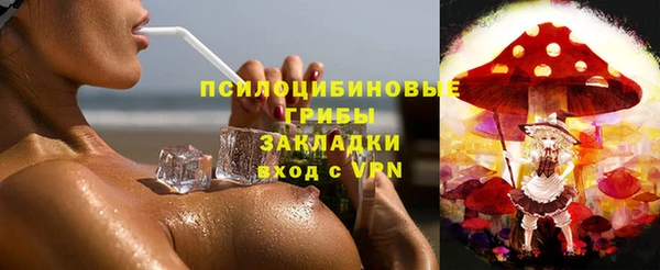 ECSTASY Абаза